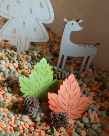 Complete Sensopatische SuperSpeelset Dieren in het Bos