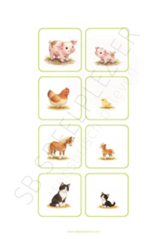 PDF Verbanden leggen - Jonge dieren