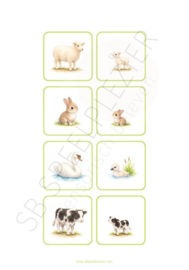 PDF Verbanden leggen - Jonge dieren