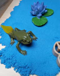 Complete Sensopatische Speelset Het leven van de Kikker
