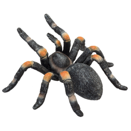 Thema Pakket Spooky Spider