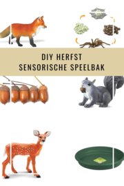 DIY Herfst Sensorische Playtray