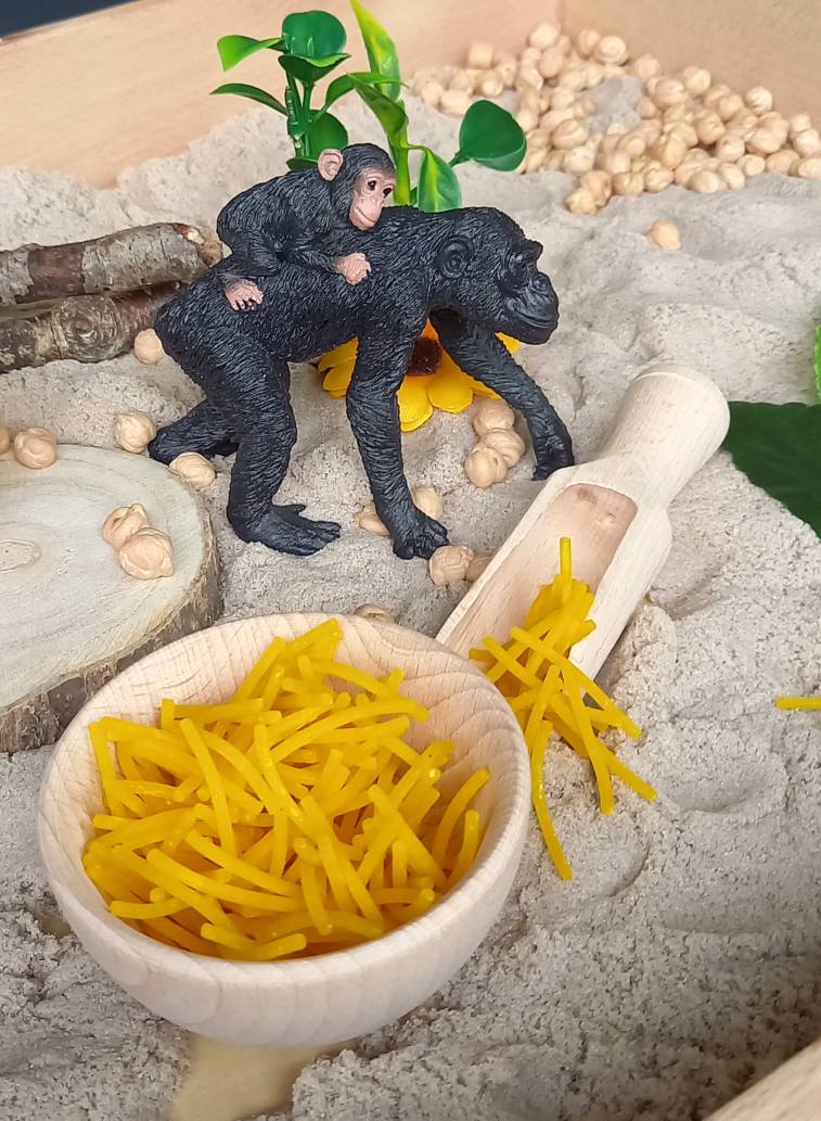 Complete Sensorische Speelset Avontuur bij de Chimpansees