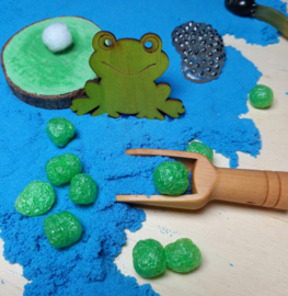 Complete Sensopatische Speelset Het leven van de Kikker