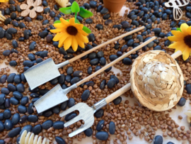 Sensorisch Pakket Zonnebloemen