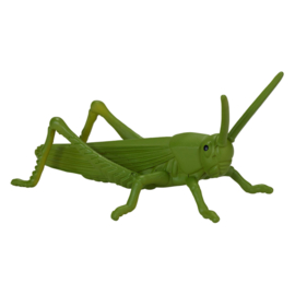 Mojo  Insecten 12 st.