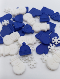 Schatzoekertjes Winter 50 st.