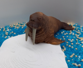 Complete Sensorische Speelset IJskoud