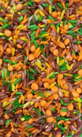 Speelrijst Herfstmix