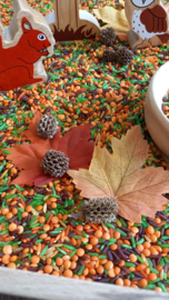 Speelrijst Herfstmix