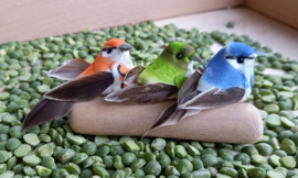 Sensorisch Super Pakket Vogeltjes
