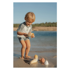 Little Dutch IJsjes Strandset