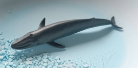 Zeedieren set A