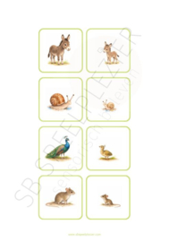 PDF Verbanden leggen - Jonge dieren