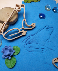 Complete Sensopatische Speelset Het leven van de Kikker