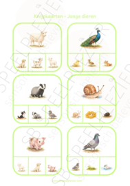PDF Knijpkaarten - Jonge dieren