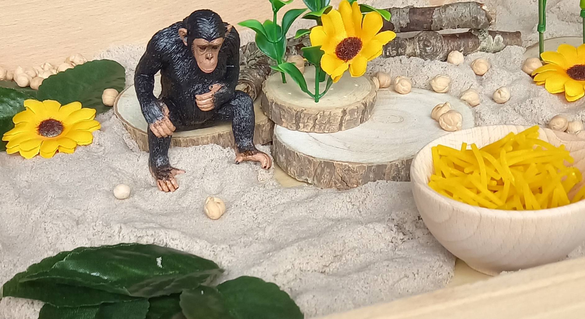 Complete Sensorische Speelset Avontuur bij de Chimpansees