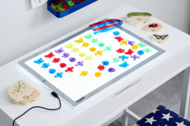 Tickit Doorschijnende Gekleurde Insecten 24 st. Rainbow