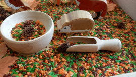 Sensorische Speelset Bosdieren