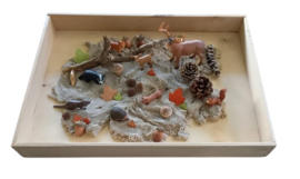 Sensorische Super Speelset Herfst in het Bos