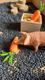 Complete Educatieve Speelset Varkens