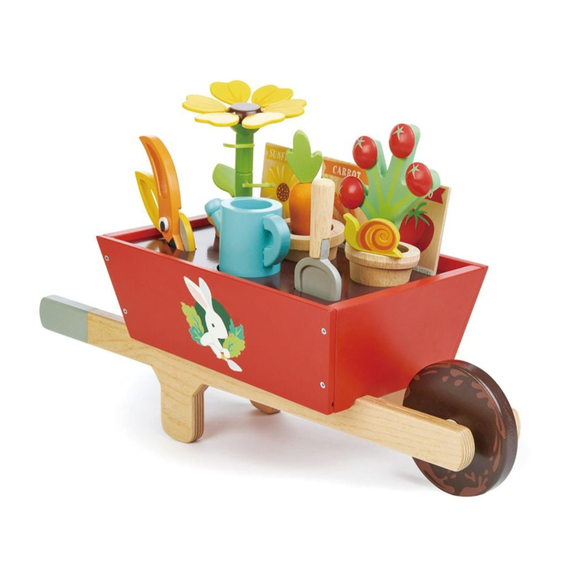 Tender Toys Kruiwagen met tuinset  31-delig