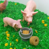 Sensorisch Pakket Lente op de Boerderij