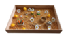 Complete Sensorische Speelset Van Ei tot Kip Lifecycle