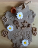 Grennn Bloemen Uitstekers