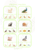 PDF Knijpkaarten - Jonge dieren