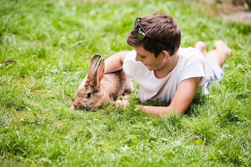 Kind geniet van het voorjaar en knuffelt met een konijn in het gras – lente beleving en dieren ontdekken