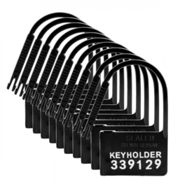 Keyholder Kuisheidskooi Hangslotjes - 10 Stuks