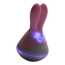 Clitoris Vibrator met krachtige motor