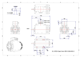 OMD-IE3 315M2 200kW (3000rpm) 400/690V 50Hz IP23 B3/B5/B35/V1