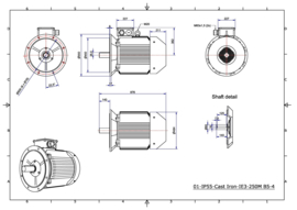 OMT1-IE3 250M4 55kW(1500rpm) 400/690V 50Hz IP55 B3/B35/B5/V1