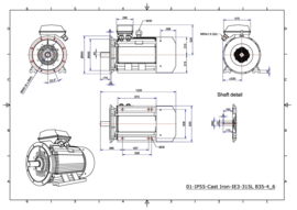 OMT1-IE3 315LX2 200kW (3000rpm) 400/690V 50Hz IP55 B3/B5/B35/V1