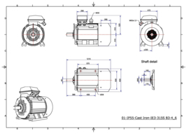 OMT1-IE3 315S2 110kW (3000rpm) 400/690V 50Hz IP55 B3/B5/B35/V1