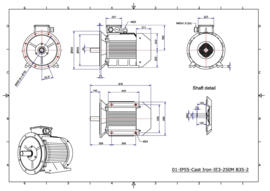 OMT1-IE3 250M2 55kW(3000rpm) 400/690V 50Hz IP55 B3/B35/B5/V1