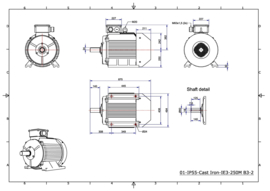 OMT1-IE3 250M2 55kW(3000rpm) 400/690V 50Hz IP55 B3/B35/B5/V1