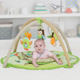 Babygym Dieren