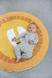 Babygym Leeuw