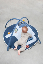 Babygym Olifant