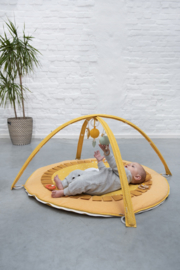 Babygym Leeuw