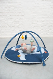 Babygym Olifant