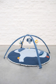 Babygym Olifant