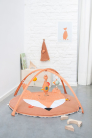 Babygym Vos