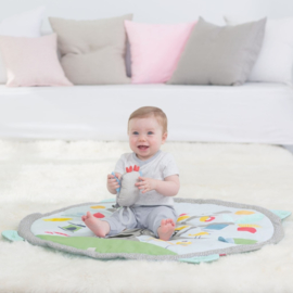 Babygym Dieren - pastel