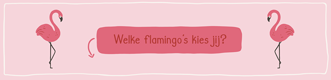 flamingo