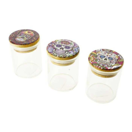 Ragga Glass Jar Skull (6 stuks)