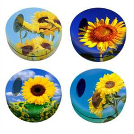 ZONNEBLOEM ZAKASBAKKEN 12 stuks